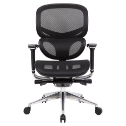 NICER INTERIOR Multi-Function Ergonomic Mesh Chair Comfort Highly Adjustabl Desk Task Office Chair With Synchro Mechanism Control