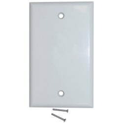 DIGIWAVE Blank Wall Plate