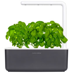 Click and Grow Smart Indoor Garden (SGS8US) - with Basil Seed Capsule Refill - 3 Pack - Dark Grey