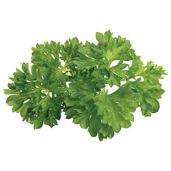 Click & Grow Parsley Seed Capsule Refill - 3 Pack