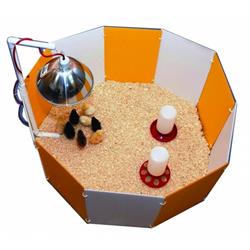 FARM INNOVATORS-FARM Baby Chick Starter Home & White 3700 In Orange