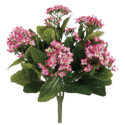 ALLSTATE Fbk107-Pk-Tt 13.5 In. Two Tone Kalanchoe Bushes X5- Case Of 6 In Pink