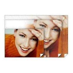 EPSON Professional Photo Paper - C - 17 X 22 - 325 G/m