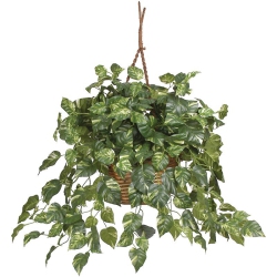 NEARLY NATURAL Pothos Hanging Basket Silk Plant In Green/brown
