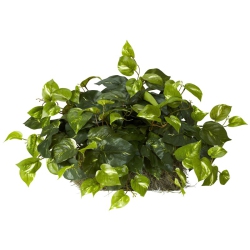 NEARLY NATURAL Pothos Ledge Plant (Set On Foam) Silk Plant In In Green
