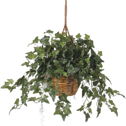 NEARLY NATURAL 6507 English Ivy Hanging Basket Silk Plant