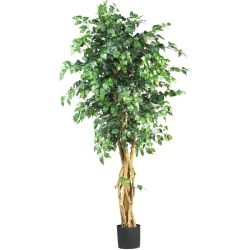 NEARLY NATURAL 72" Palace Style Ficus Silk Tree With 1596 Leaves In Green/black