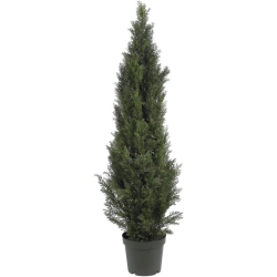 NEARLY NATURAL Indoor/outdoor 60" Mini Cedar Pine Tree In Green/black