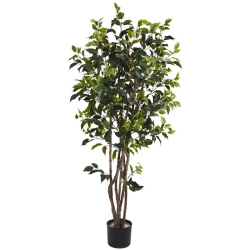 NEARLY NATURAL 60" Ficus Bushy Silk Tree With 780 Bushy Leaves In Green/black