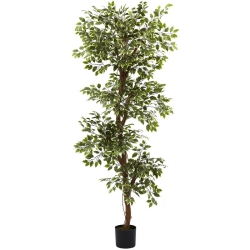 NEARLY NATURAL 6' Variegated Ficus Tree
