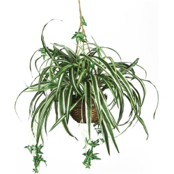 NEARLY NATURAL Spider Hanging Basket Silk Plant In Green/brown