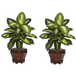 NEARLY NATURAL Dieffenbachia With Wood Vase Silk Plant (Set Of 2) In Green/brown