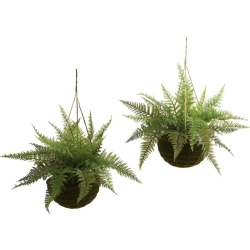 NEARLY NATURAL Leather Fern W/mossy Hanging Basket (Indoor/outdoor) (Set Of 2)