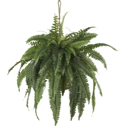 NEARLY NATURAL Large Boston Fern Hanging Basket
