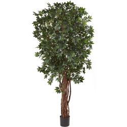 NEARLY NATURAL 90" Lychee Silk Tree With Natural Trunk/5406 Leaves - Green/black