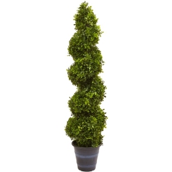NEARLY NATURAL Boxwood Spiral Topiary With Planter - Indoor/outdoor