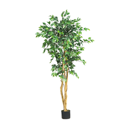 NEARLY NATURAL 5' Ficus Silk Tree In Green