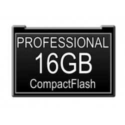COMPACT FLASH Transcend Ts16Gcf133 Transcend 16GB Compactflash - Cf Card - 133X - 16 GB