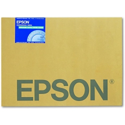EPSON America S041598 Matte Posterboard 24 Inchx 30 Inch Enhanced