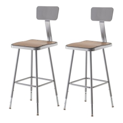 NATIONAL PUBLIC 25-33" Adjustable Stool With Backrest