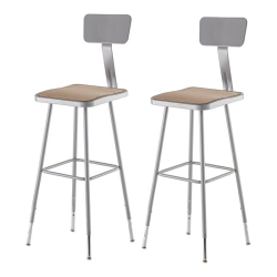 NATIONAL PUBLIC 31-39" Adjustable Stool With Backrest
