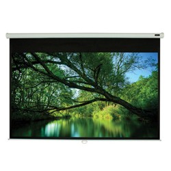 ELUNEVISION 96" X 96” 1:1 Triton Manual Pull-Down Projector Screen