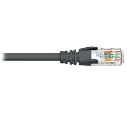 BLUEDIAMOND Cat5E Patch Cable - Bk, 50Ft In Black