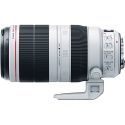Canon 100-400mm f4.5-5.6L IS II EF USM Lens | Best Buy Canada