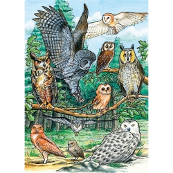 COBBLE HILL North American Owls, A 35-Piece Tray Puzzle By