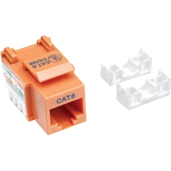 INTELLINET Network Solutions Cat6 Keystone Jack, Utp, Punch-Down In Orange