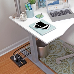 TRIPP LITE Protect It Surge Protector (Tlp810Net)