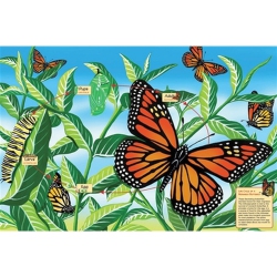 COBBLE HILL Life Cycle Of A Monarch Butterfly 48 Piece Floor Puzzle