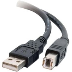 CABLES TO GO C2G / 28103 USB 2.0 A/b Cable (9.8 Feet/ 3 Meters) In Black