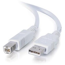 CABLES TO GO C2G / 13172 USB 2.0 A/b Cable (6.5 Feet/ 2 Meters) In White