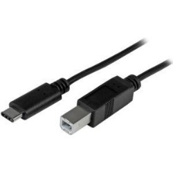 STARTECH Connect USB 2.0 USB-B Devices to Your USB-C Or Thunderbolt 3 Computer 6Ft USBtype C Printer Cable 6 Ft USB 2.0