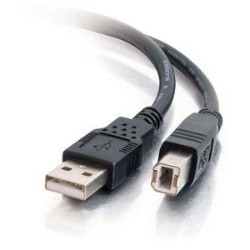 CABLES TO GO C2G / 28102 USB 2.0 A/b Cable (6.5 Feet/ 2 Meters) In Black