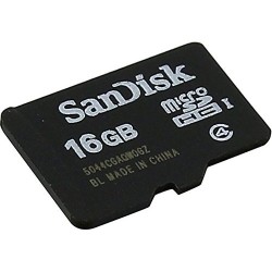 SANDISK 16GB Microsdhc Memory Card, Class 4