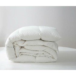TWIN DUCKS INC. Twin Ducks Perugia European Down Duvet 260 Thread Count (Twin Standard Fill) In White