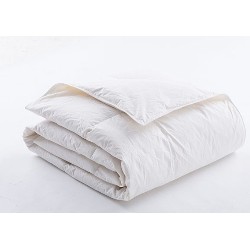TWIN DUCKS INC. Twin Ducks Goose Feather Duvet King In White