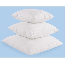 TWIN DUCKS INC. Twin Ducks Feather Cushion 20"x20