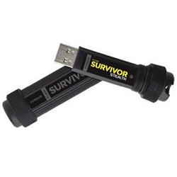 CORSAIR Components 256GB Survivor Stealth Militar Cmfss3B256GB