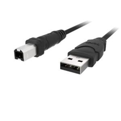 BELKIN -USB Cable-4 Pin USB Type A (M)-4 Pin USB Type B (M)-10 Ft F3U133B10