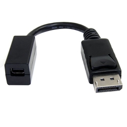 STARTECH 6In Displayport to Mini Displayport Video Cable Adapter - M/f - Dp Male to Mini Dp Female - (Dp2Mdpmf6In) In Black