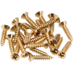FENDER Pickguard/control Plate Mounting Screws - 24 Pack