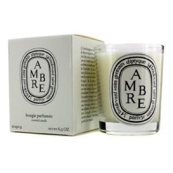 DIPTYQUE Scented Candle - Ambre (Amber) - 190G-6.5OZ