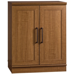 SAUDER Homeplus Base Cabinet In Sienna Oak Finish