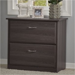 PEMBERLY ROW 2 Drawer File Cabinet In Heather In Gray