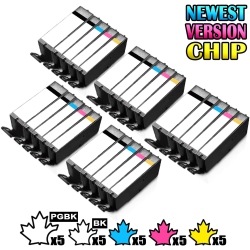 INKFIRST 5 Set Of 5 Compatible Pgi-250Xl Cli-251Xl Pgi-250 Cli-251 Ink Cartridges Replacement for Canon Pgi250Xl Cli251Xl