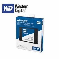WD BLUE Wd 250GB SATA Solid State Drive (Wds250G2B0A)