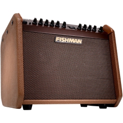 FISHMAN Loudbox Mini Charge Combo Amp